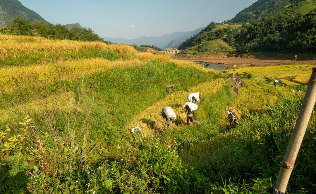 Hình ảnh Trent Alexander-Arnold đang tạt bóng