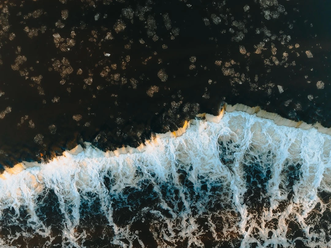 Sự kiện thể thao tại Làng Quốc tế Thăng Long